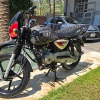 بوكسر جبلي • ٢٠١٨ • اوراق كامله