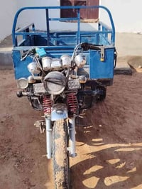 ستوته 2014 • الشاصي مكفول • الديوانية السدير