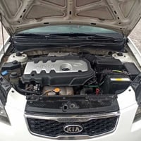 ريو • ٢٠١١ • توماتيك