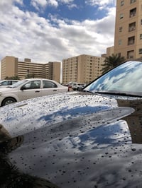 بسماية السكني • ١٠٠م • مؤثثة بالكامل