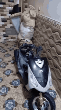 سلام عليكم دراجه للبيع مفتوحه بوشه 55دراجه سلف هندر دراجه عوزه ويل و تاير وره فقط دراجه هندر واحد تشتغل نهضه فول دراجه مرتبه سعر خاص***********رقمي مو شراي لا تعبني مكاني ناصريه مركز قرب مستشفى التركي
