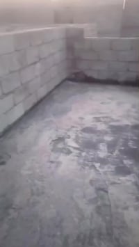 بغداد الانتصار • بيت قاطع • ١٠٠م