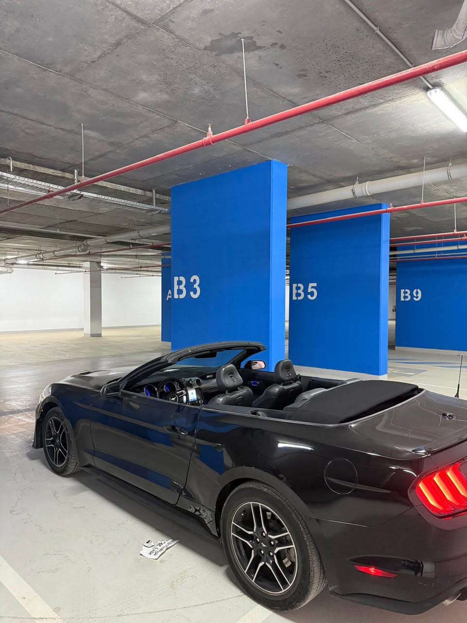 Ford mustang 
Model - 2022
Motor - 4 cylinder  Eco bust
Boyagh - 4 parcha 
Raqam hawler 
گێڕ مەکینە تەقە و ڕەقە بەشەرت 
تایەی تازەیە 
ڕادێتەری تازەیە 
کۆمپرێسەری تازەیە 
فویلپەمپی تازەیە 
١٣٠ وەرەقە و مەعامەلە ￼ أربيل, العراق


**إذا كنت صاحب هذا الإعلان وتريد حذفه لأي سبب، رجاءا أرسل رسالة إلى الدعم الفني**