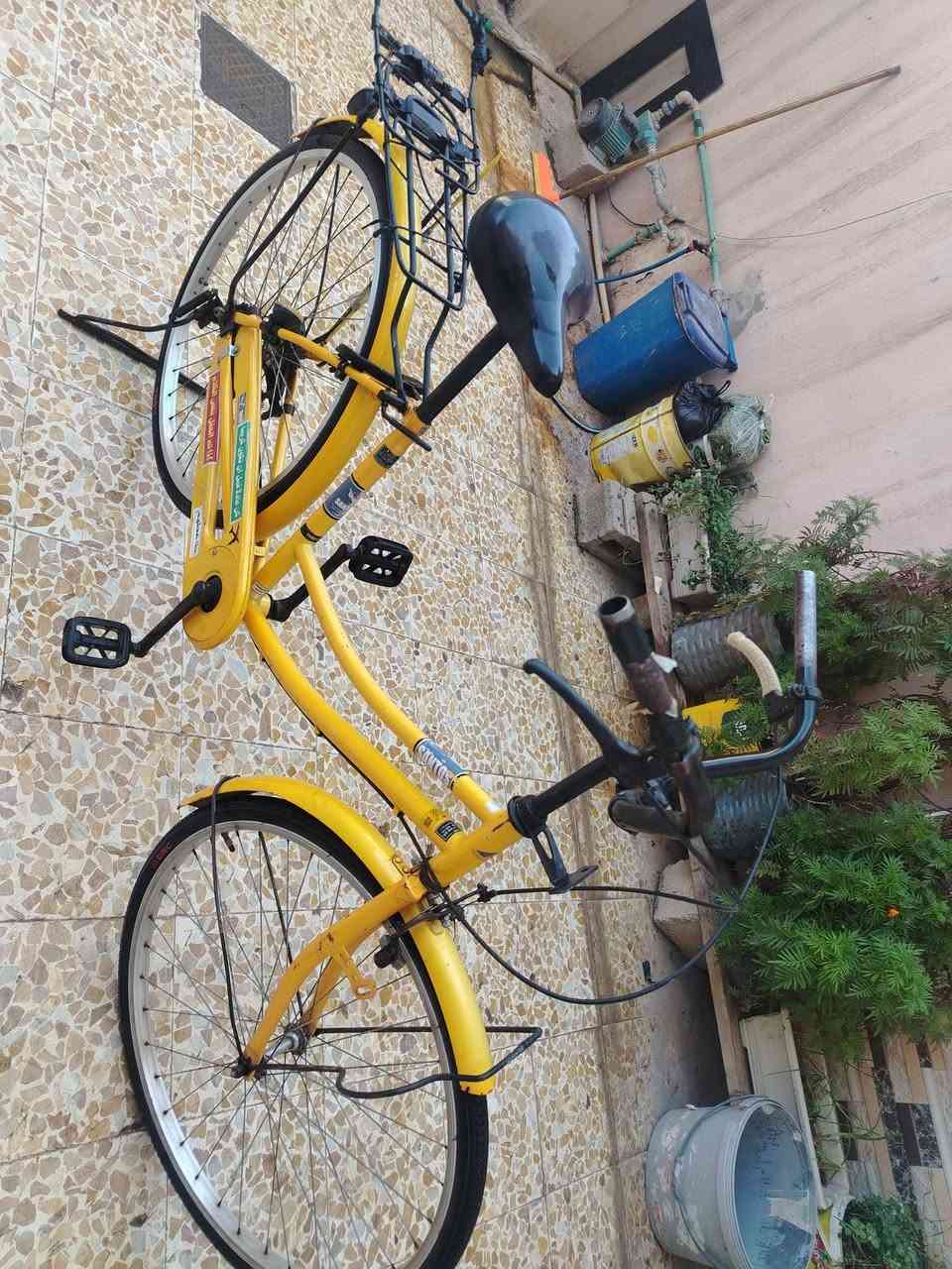 السلام عليكم بسكل لبيع حجم 26موديل 217السعر 90وبي مجال


**إذا كنت صاحب هذا الإعلان وتريد حذفه لأي سبب، رجاءا أرسل رسالة إلى الدعم الفني**