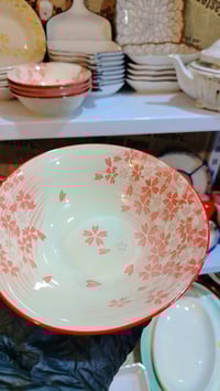 كاسات • نفر واحد • ١٢قطعة