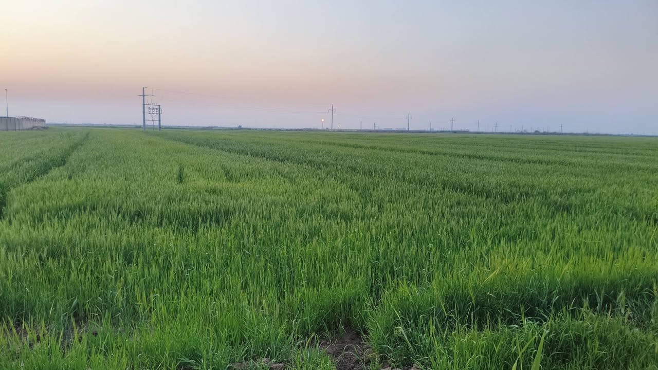 توجد ارض زراعيه للبيع 13دونم تبعد عن الشارع العام كيلو موقع الارض واسط الاحرار قرب  حقل الاحدب النفطي وعلى صدر الكاع شارع سبيس مياه صيف شتاء متوفر للاتصال او الستفسار ***********
