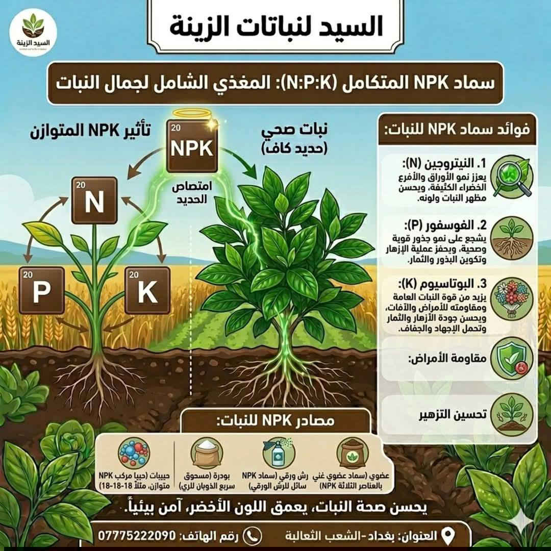 ‏🌱✨ خلّي حديقتك تزدهر بسرعة مع العرض الأقوى ✨🌱
‏يتوفر أسمده نباتات ومبيدات نسبه الضمان 100% 👌
‏
‏🌸 ثلاث أسرار لجعل النباتات معمرة ودائمية 🌸
‏💪 عنصر الحديد - NPK - مبيد فطري 💪
‏🎁 العرض ثلاث اسمدة بـ 10.000 🎁
‏🫣 التوصيل مجاني لجميع المحافظات 🫣
‏
‏☘ سماد NPK مركب أساسي يحتوي على العناصر الغذائية الكبرى الثلاثة التي تحتاجها النباتات : (N )النيتروجين
‏للنمو الخضري، الفوسفور (P) لتطوير الجذور والزهور والبوتاسيوم (K) لتعزيز المناعة وجودة الثمار
‏
‏☘ عنصر الحديد المتكامل لنمو النباتات والتزهير 
‏علاج اصفرار الأوراق وتحسين صحة النباتات
‏
‏☘ المبيد الفطري ولحشري حماية مزدوجة ضد الآفات والفطريات، وتعمل على تعزيز مناعة النبات والقضاء على المن والذبابة البيضاء والعفن
‏
‏🌸 متوفر جملة باسعار مناسبة جدا 🌸
‏
‏العنوان : بغداد - الشعب - الثعالبة
‏الهاتف : ***********
