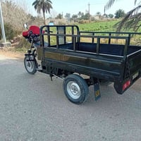 ستوته • موديل 2014 • وراق صولية