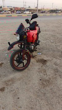 بوكسر • ماشيه 19 • ديالى