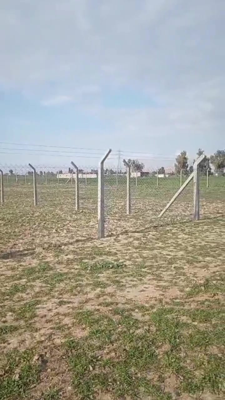 أرض زراعي للبيع موقع خلف معمل الغاز 2000 متر سياج كامل واجهه 23 
***********
