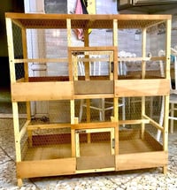 قفص جديد • خانتين كبار • كربلاء
