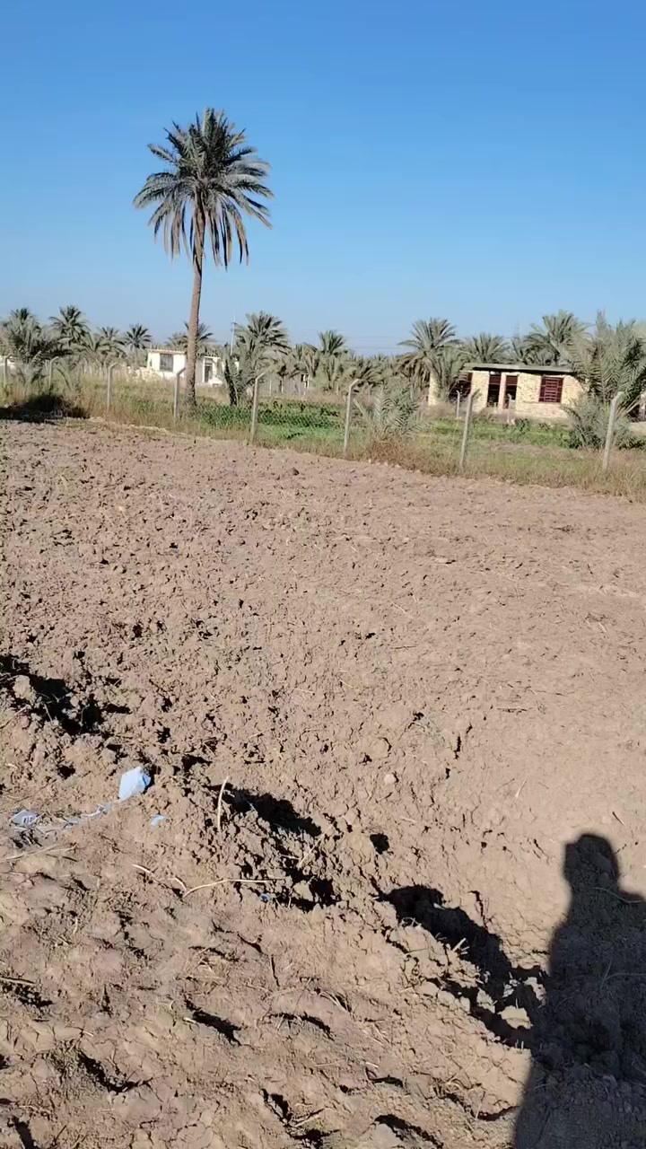 سلام عليكم دونم للبيع بالجمعيه بالمستقبل طابو زراعي *********** *********** واتساب
