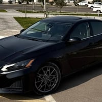 التيما • ٢٠٢٣ • كفالة عام