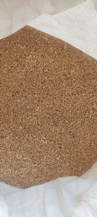 موجود حنطه للبيع حنطه خبازه ونظيفه درجه اولى الاستفسار اتصال على الرقم...