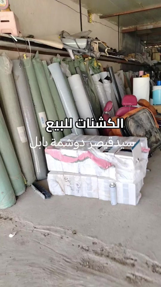 حله الحمزه الغربي الشارع العام بين الحمزه والهاشميه 


**إذا كنت صاحب هذا الإعلان وتريد حذفه لأي سبب، رجاءا أرسل رسالة إلى الدعم الفني**