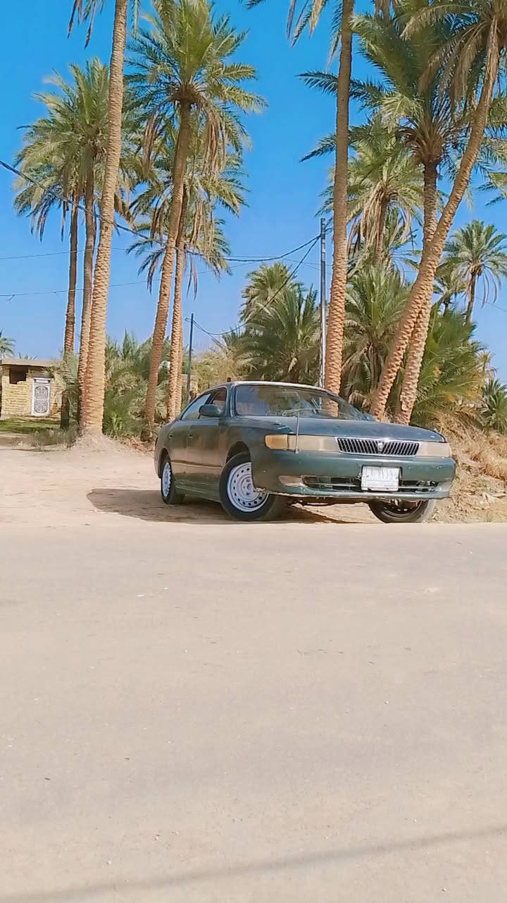 مراوس ب500حتلا محور سياره بدون كص بسمي مداور عوزها شغلات بصيطه مكينه وكير مكفولات كرتون


**إذا كنت صاحب هذا الإعلان وتريد حذفه لأي سبب، رجاءا أرسل رسالة إلى الدعم الفني**