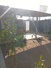 بيت البيع تجاوز بغداد الزعفرانية سعيده المقلع بيت نضيف بي غرفتين وصاله...