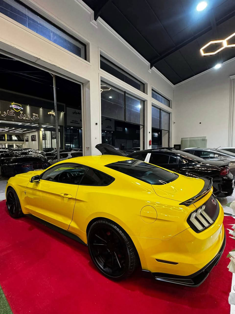 السلام عليكم اخوان موستنك للبيع موديل ٢٠١٦ 🍋 👺
سعر فقط ١٥٥$ ورقة و بيها مجال 🇺🇸☠️
مواصفات ٦ سلندر يحني محرك ٣٧٠٠ مرغوب 😈
سيارة كلين تايتل فقط بيها مكانين تعديل بارد 
يحني سيارة بدون صبغ بدون صبغ بدون تبديل بدون مفتوع بدون ايرباك بدون ضربة جاهزة اي نواقص مابي 
مواصفات معروف ٦ سلندر تشغيل عن بعد كشنات كهرباي كاميرا دواخل مبدل لون ازرق صقف ليد متغير الوان لايت امامي ٢٠٢٤ محدث بكلايت خلفي متغير الوان 
تاخم ويالة روهان ٢ سايز يحني جاهزة بكل انواع 
كير محرك حجر كواتم كل ضمان برغي مامفتوع ماشي ١٠٠ الف مكان سيارة اربيل تعويل ثاني يوم ***********☠️ أربيل, العراق
