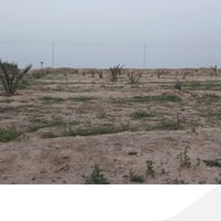 مزرعة • بصرة • ١٣١٠٠م