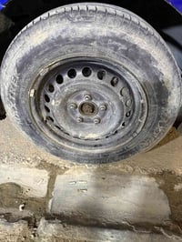 تخم كامل • حجم ١٥ • انتاج ٢٠٢٣