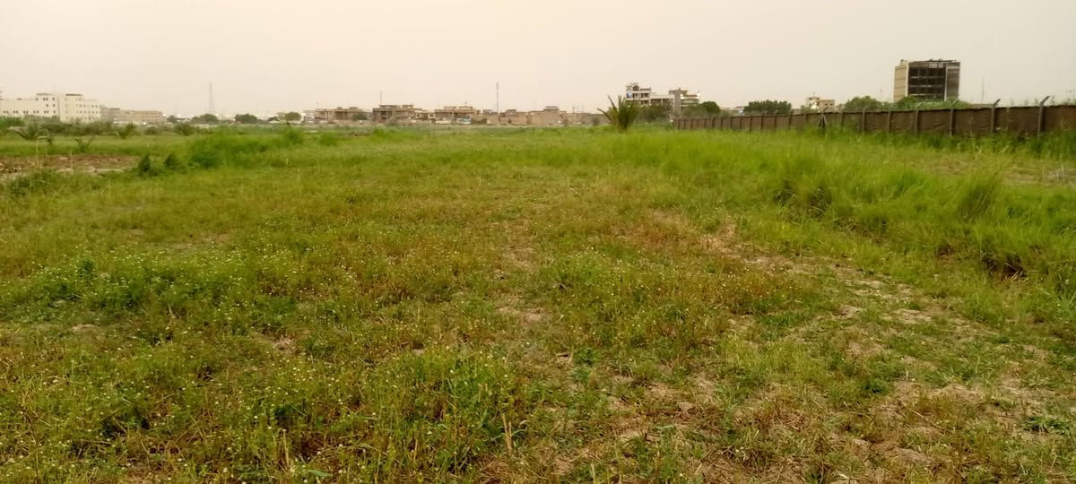سـلام عليـكـم 
دونـم للبيـع على الشـط 
واسط منطقـه ليوسفيـه الستفسـار علـى هاذا رقـم 📞📲
***********📞
