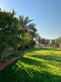 مدائن سلمان باك • ٤ ونص دونم • أوقاف