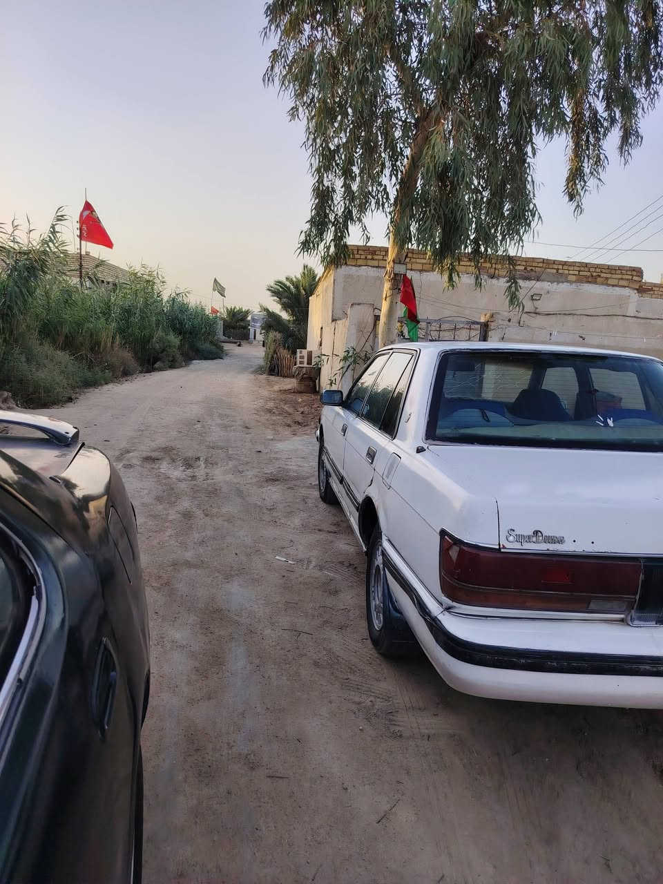 سيدان موديل 90رقم ذيقار الماني الشرعي يمي جاهزه مكينه وكير شرط عل فحص حداديه تخم تاير كهربايات شغاله مكفوله من العيب الشرعي والصوليات السعر 24 وبيه مجال جدن بصيط العنوان ناصريه سوق الشيوخ العكيكه
***********
