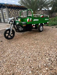 ستوته • ٢٠١٩ • مكفوله