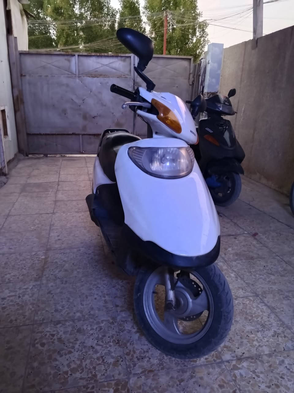 سلام عليكم سبيسي نظيفه البيع ياباني اصلي 500 وبيها مجال زعفرانيه ***********
