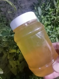 عسل • ١٠٠٪ طبيعي • مع فحوصات
