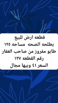 بطلحه الصحه • ١٢٥م