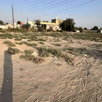 قطع اراضي في هوررجب زراعي سند 25  100 متر فما فوق  تبدأ الاسعار م̷ـــِ...
