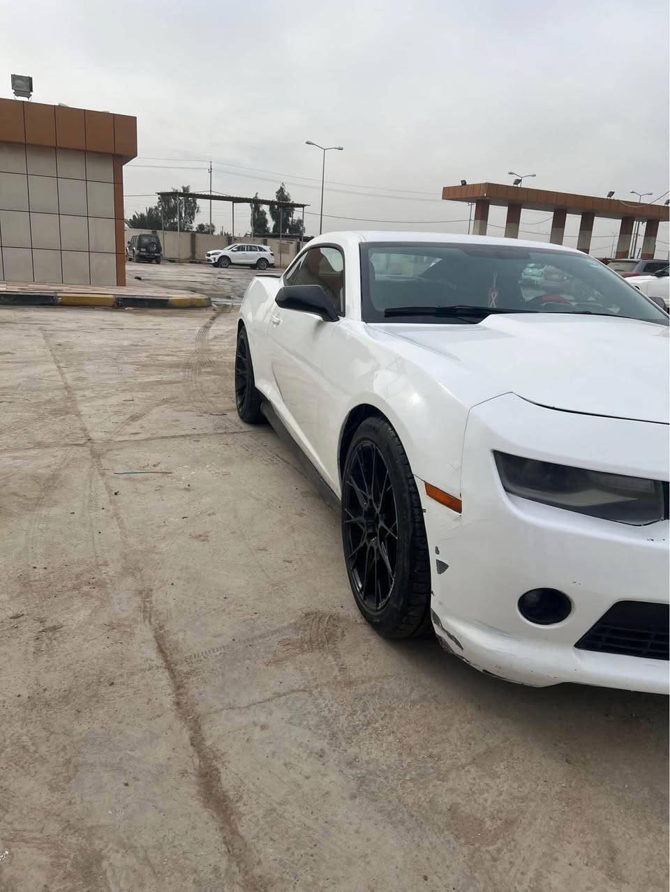 كمارو موديل ١٤ خليجي (بدون حادث )بيها صبغ حزام مدحث بك لايت سموك كورفت ولايت امامي مديل ١٧ حاجب وعدسه دفيوزر خلفي لحيه اماميه مكينه كفاله كير كفاله حداديه داخله ادامه كامله عدا دبل خلفي ضعيف رقم بصره دولي تتحول باي محافظة مواصفات واضحه بالصور سعرها 108 بيها مجال مكانها بابل الهاشميه 
       ***********
***********
ملاحظه ( السوق بي كل شي حتى ب٧٠ لاتقارني بيهم) حلة, بابل
