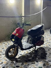 فراشه • نشطه • حربيه