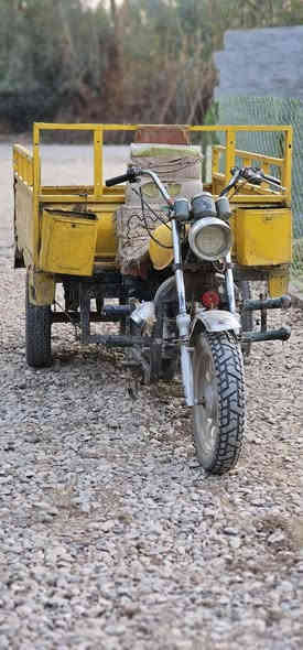 ستوته امتيار للبيع موديل 13اوراق كامله اصليات ستوته كامله كهربائيات هورن سلف هندر بك لايت بدي نضيف شاصي نضيف محرك نضيف موديل 22محركها السعر 650وبيها مجال مكاني واسط الدبوني. ملاحضه الركبه طاكه وملحومه لحيم ما مبين ستوته مال جناي شاهد الله
***********
