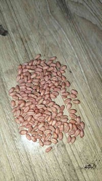 حنطة فرش دجلة مغلف السعر 3000000ثلاث ملايين  07828384380