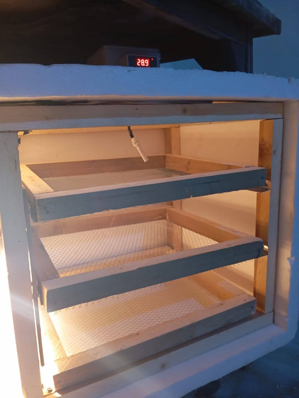 فقاسات فلين تقليب يدوي درجه اولى شرط التفقيس توفرت بنظام طابق واحد ونظام  ٣ طوابق واشتغل حسب الطلب  
كل الأحجام موجوده بالصور
اليريد يراسلني ويدلل


**إذا كنت صاحب هذا الإعلان وتريد حذفه لأي سبب، رجاءا أرسل رسالة إلى الدعم الفني**