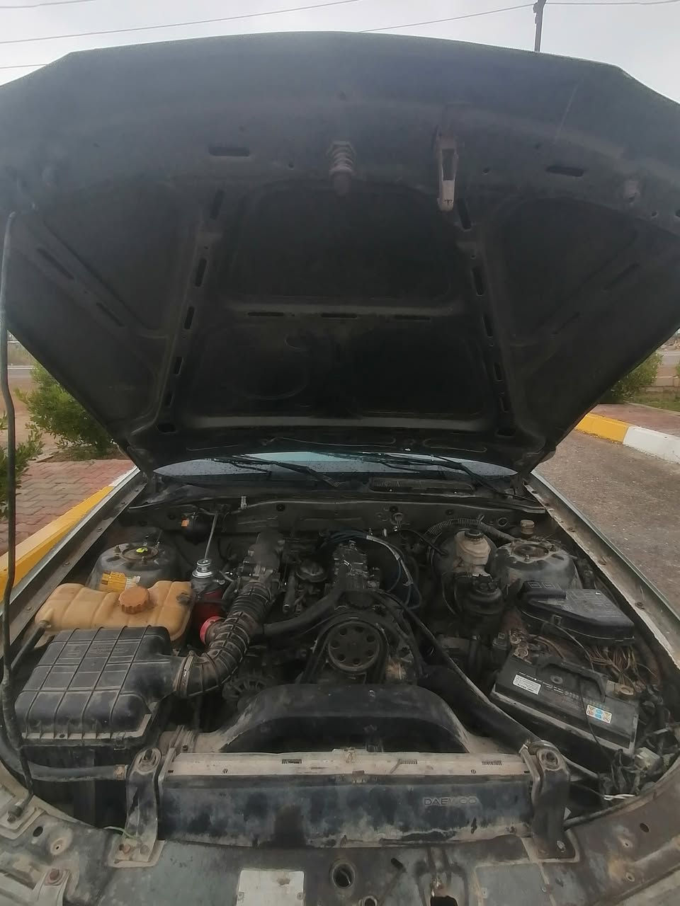 برنس فراشة اوتو رقم بغداد انكليزي تحويل مباشر محرك وكير شرط تخم تاير كهربائيات كلها شغالة مكاني ديالى الخالص سعر 33 متواجد فيس ورقم ***********
