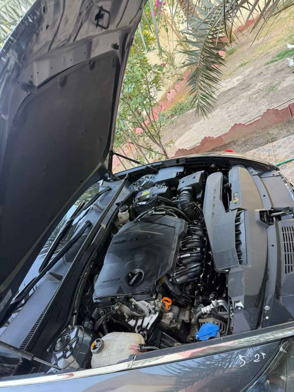 سوناتا موديل 23 لون نفطي
فول مواصفات ما عده الفتحة 
رقم اربيل بأسمي مداور ثاني يوم 
محرك 2500 تنفس طبيعي 
مكان السياره بصرة 
ماشية 100 الف كيلو وقابل لزياده
الضرر بنيد مبدل ومصبوغ 
وجاملغ الايمن نفسيته مفتوح وراجع مشدود مابي حادث
وصارت بيها بارد بقبق الجنطه قليل كلش
وسيارة نضيفه ؏ ايدي تخم تاير جديد كوري شاده قبل شهر
السعر 163 وبيها مجال بسيط
متوفر ؏ الاسيا وعلى الاثير 

***********
*********** البصرة, العراق
