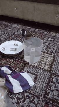 ألسلام عليكم زوج بلابل اليفات فول طيره وفحل مزاويج للبيع المكان الشعب البانزين خانه مقابل سوك 4 تالاف الشراي ***********
