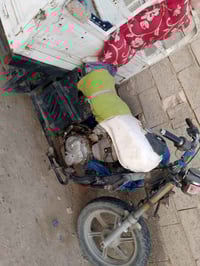 ستوتة • المقداية • امام ويس