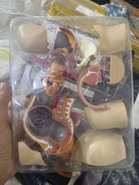 مجسم • ديكور • هدايا