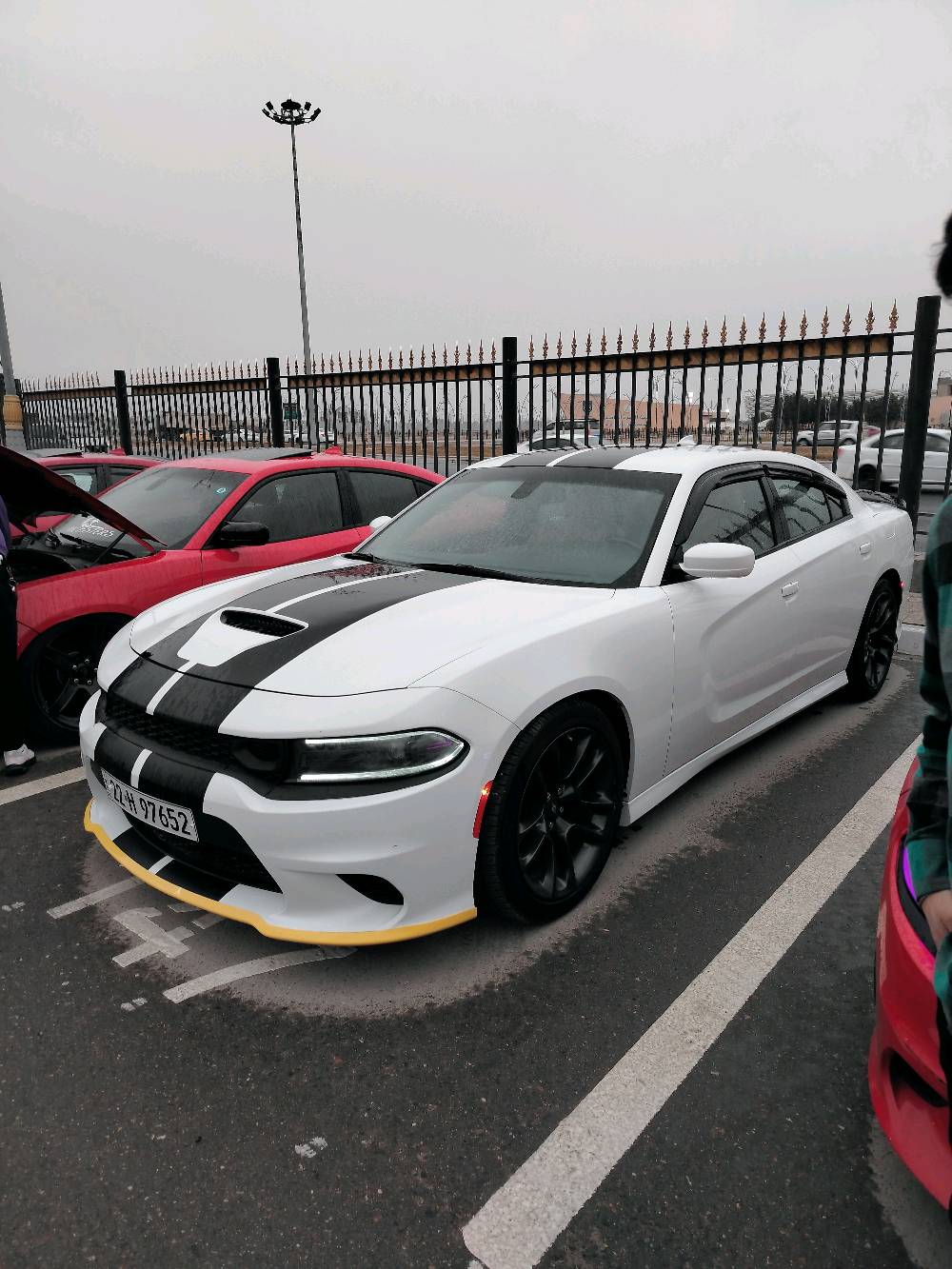  جارجر سكات باك هيمي موديل ٢٢ سياره مكانه البصره المشراق القديم رقم أربيل ماشيه ٤٨ ميل حادثه جاملغ وبنيد فقط لالغد ولا شاصي سياره جديده ماتصرف عليه شي جاهزه كير كفاله محرك كفاله 