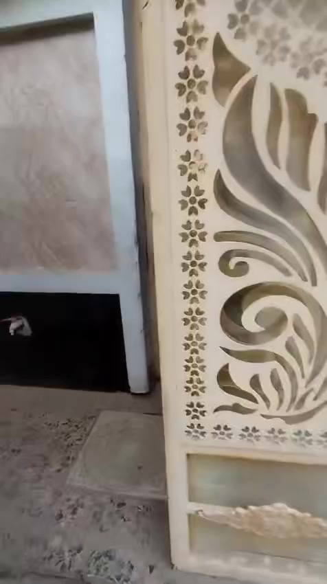 السلام عليكم مشتمل للإيجار مساحة 50متر الشعب حي بساتين قرب شارع احمد الوائلي يحتوي على استقبال وساحة درج ومطبخ وخدمات وطابق الثاني غرفتين نوم وسطح سعر الايجار 450وبي مجال للاستفسار 
***********
***********
مكتب المهندس للعقارات
