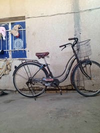 بايسكل • سانتوس • قضاء الغراف