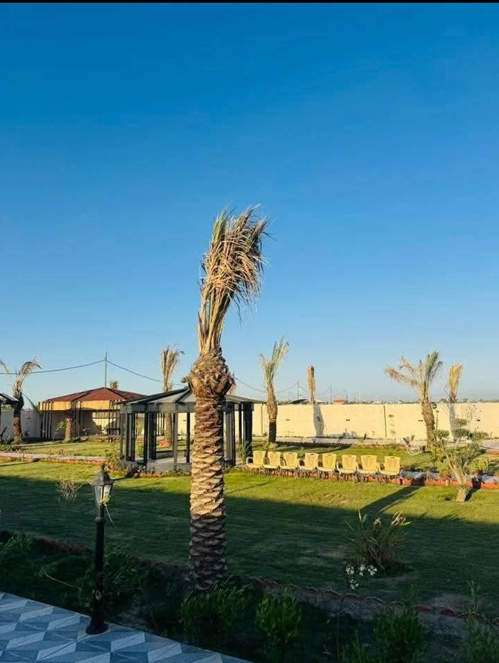 سلام عليكم عندي مزرعة جاهز لبيع مساحة دونم وربع العنوان بغداد ابو غريب السميلات التواصل وتساب ***********
