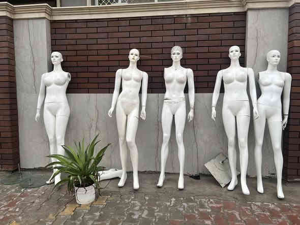 مليكانات للبيع
للاستفسار على رقم وات ساب
***********
