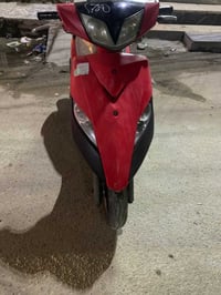 ثعلب • بكفول • بيه مجال