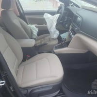 ٢٠١٩ • وارد امريكي • ٣ قطع صبغ