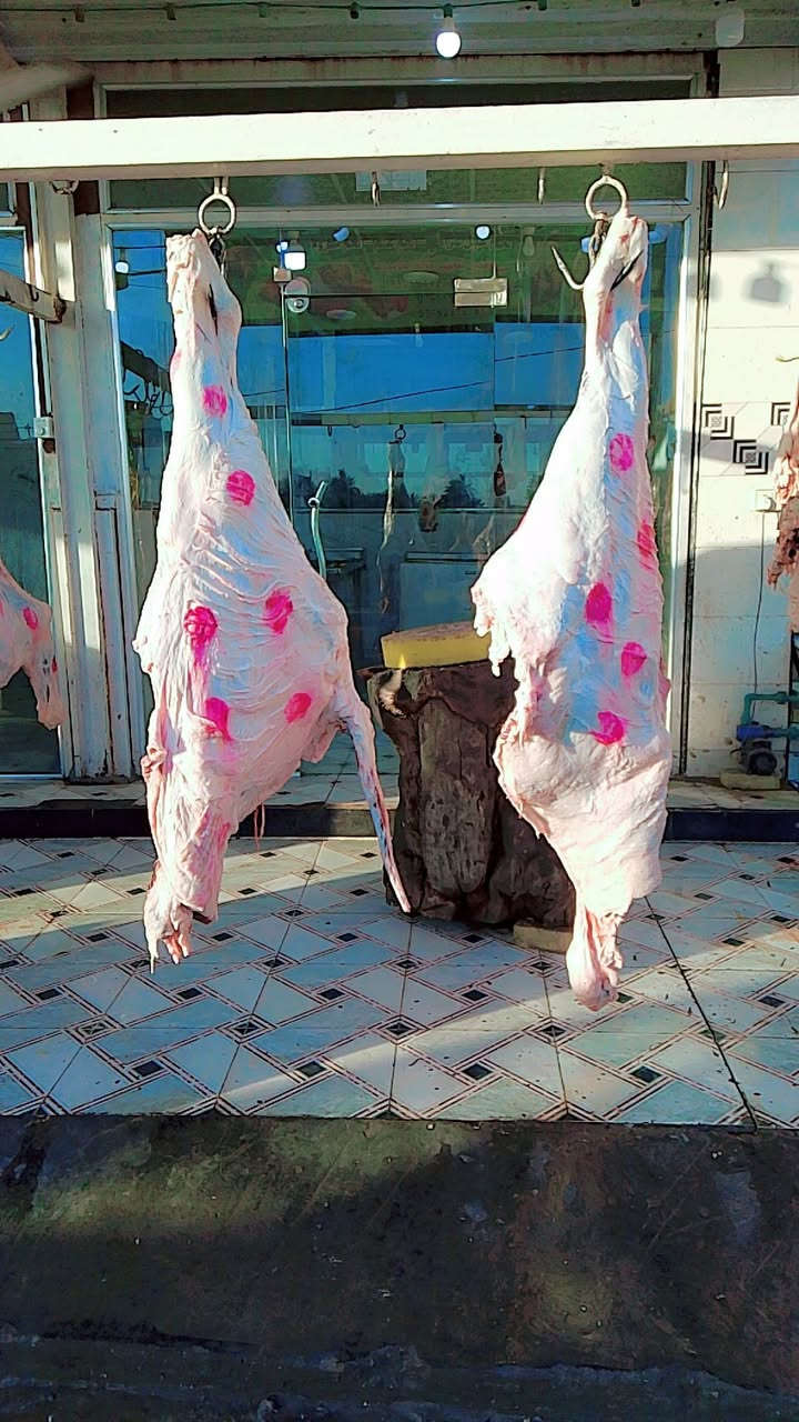 اللهم صلي على محمد وال محمد ذباحه يوم الثلاثاء حلقوم درجه اوله الكيلو 12الف للصحاب المواكب اسعار تنافسيه وذبح امام العين ***********
